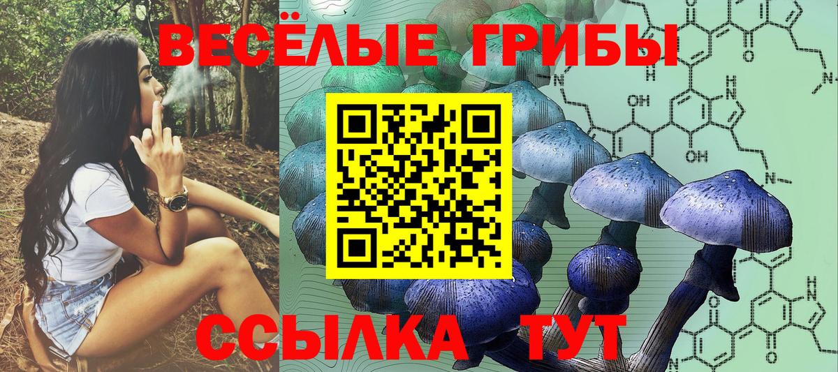 Кызыл  Галлюциногенные грибы MAGIC MUSHROOMS  Галлюциногенные грибы мицелий  Вход с VPN 