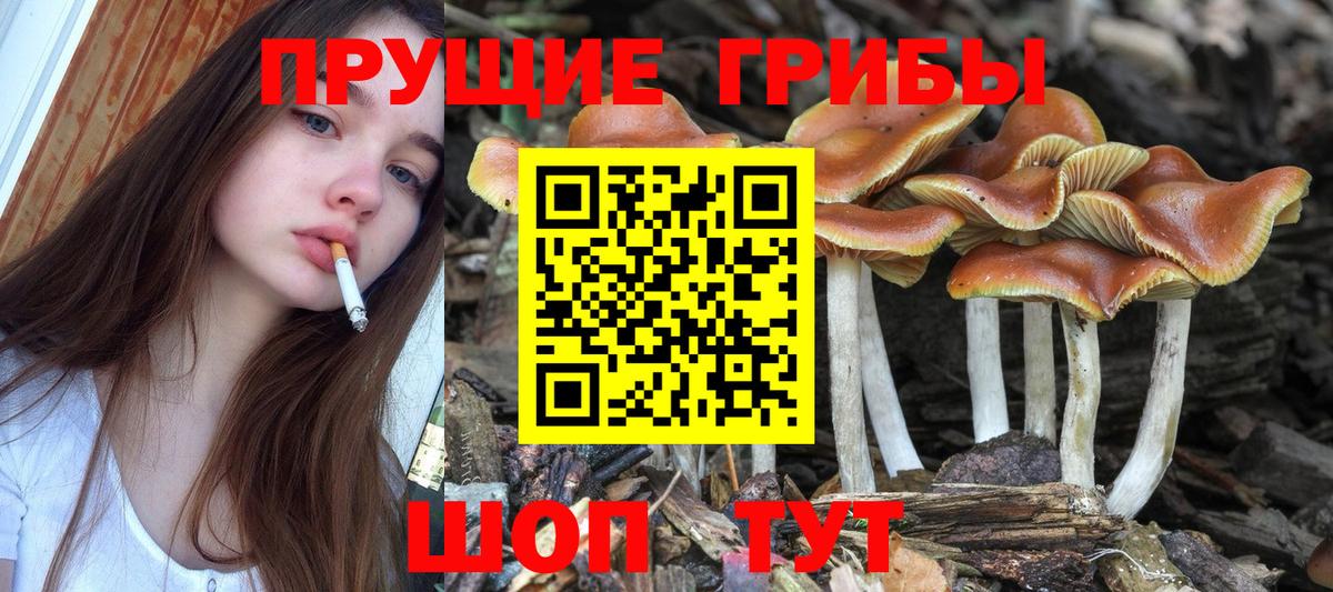 Галлюциногенные грибы Magic Shrooms Кызыл